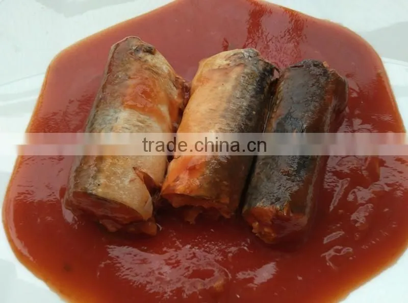 Oval can best canned sardine in toamto sauce sardinas en lata en salsa de tomate (125g/155g/425g)