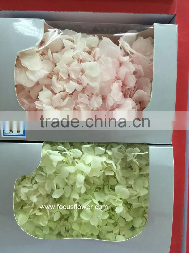 Top Quality Flower Export Preserved Flower Colorful Wholesale Artificial Hydrangea Flowers