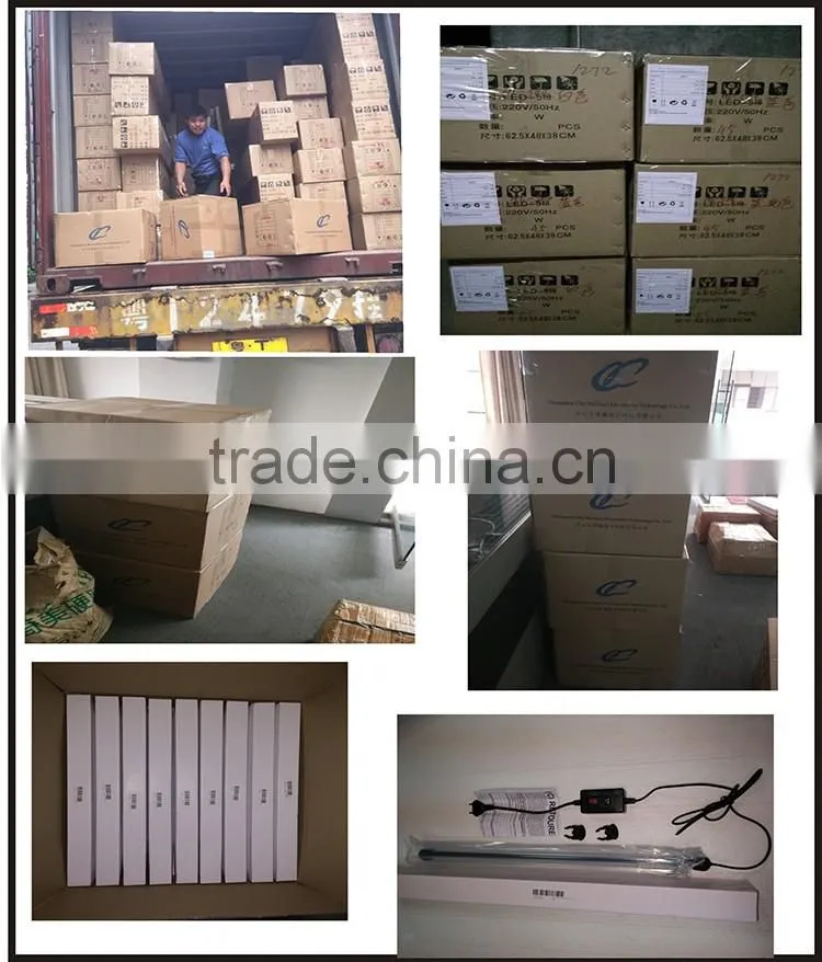 Zhongshan maxware cheap aquarium product acrylic fish tank led decorative light