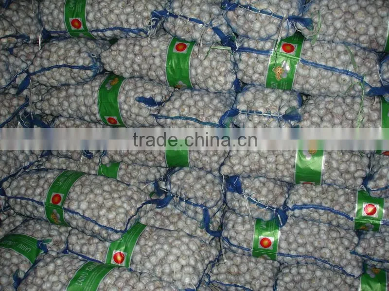 chinese new garlice price