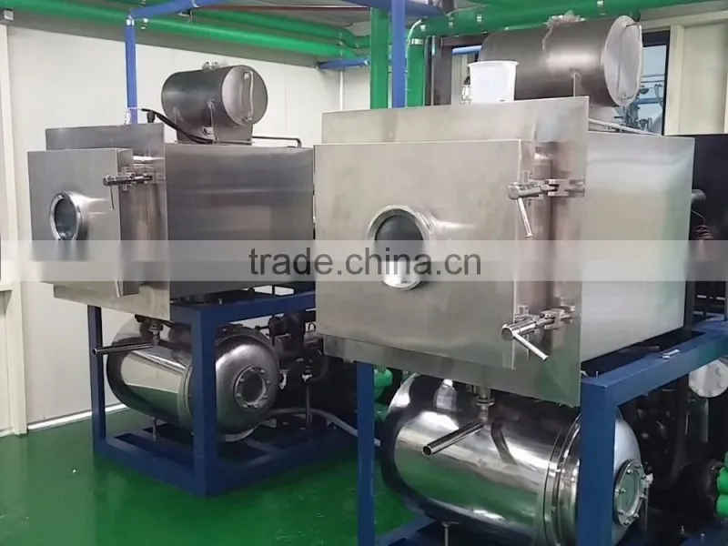 New Condition and Dryer Type food lyophilizer