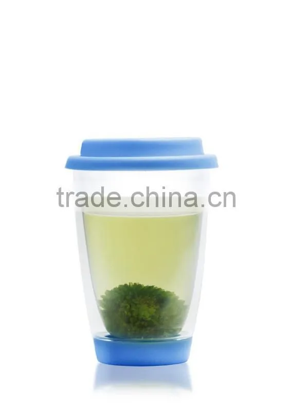 double wall glass cup