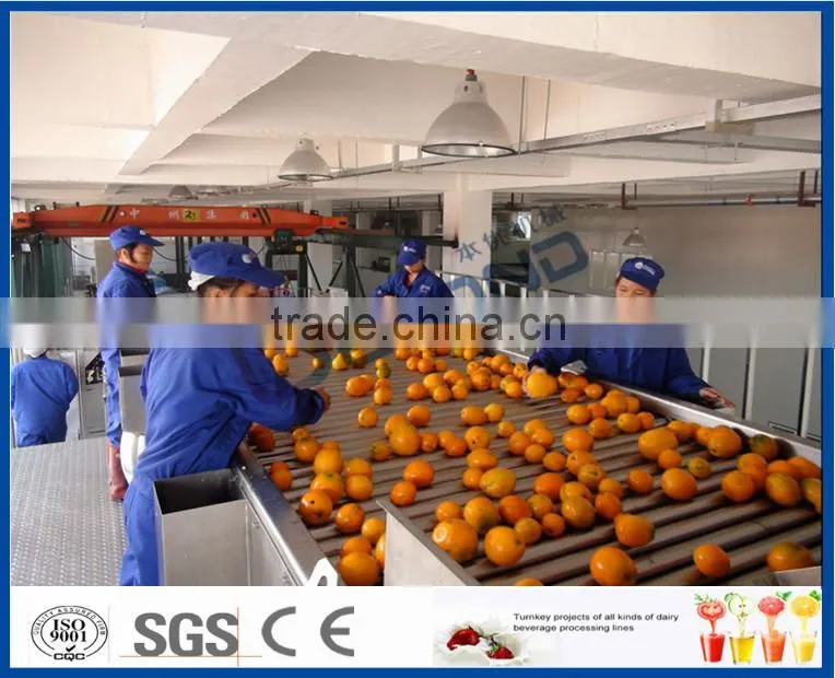 Orange production line