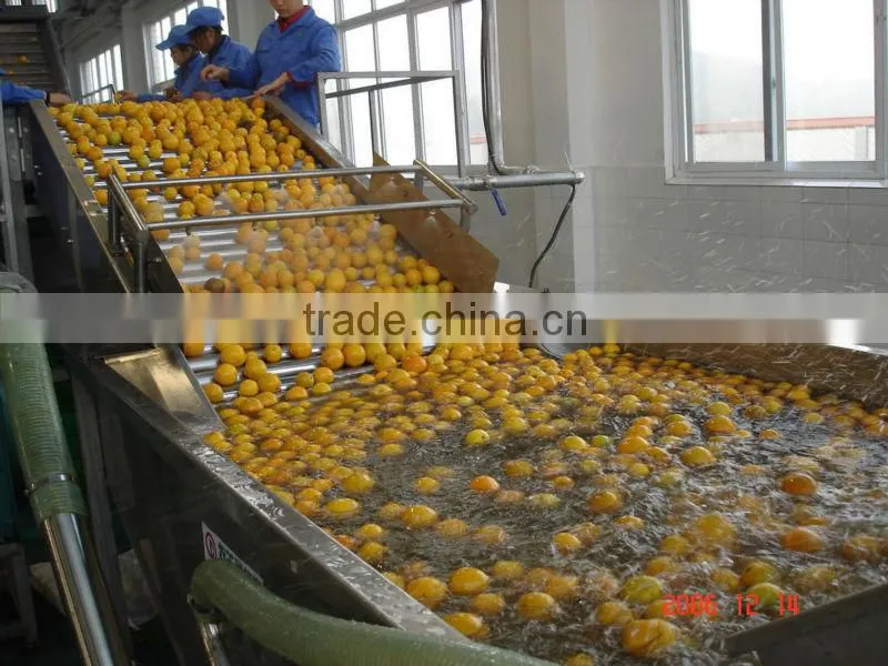 turn key full automatic orange juice processing line
