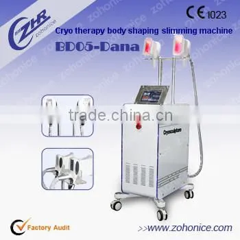 Salon use Cryo Fat Freeze Cryo Slimming Machine for sale BD05B