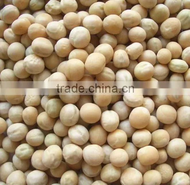 Factory Supply 100% Natural Pea Meal,Pea Protein Powder
