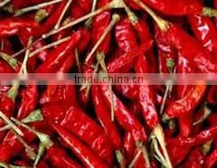 Chinese supplier wholesales export dried red chilli import from china