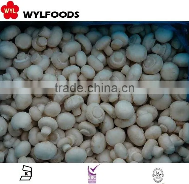 IQF china price for frozen Champignons whole 2015 high quality