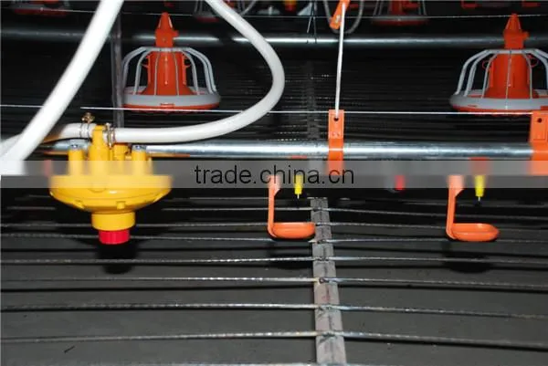 Hot sale!automatic broiler feeding system