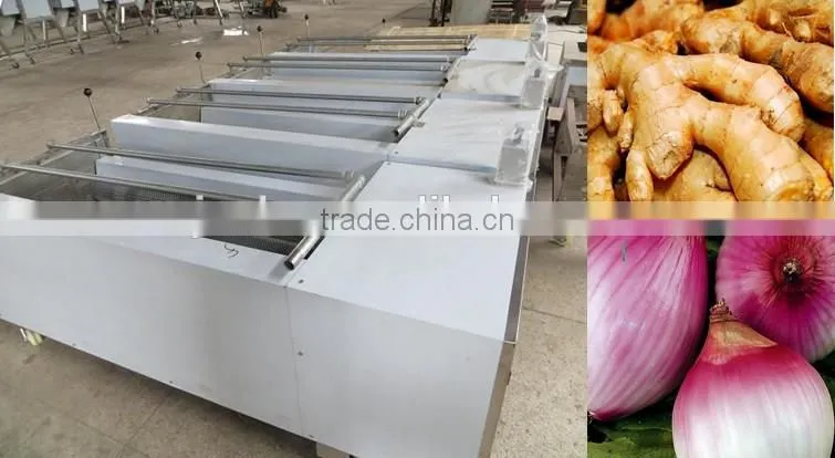 home vegetable washing machine
