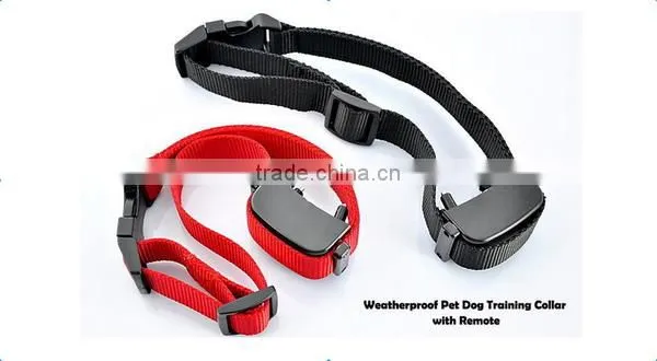 Top grade hot sell pet training collar supply