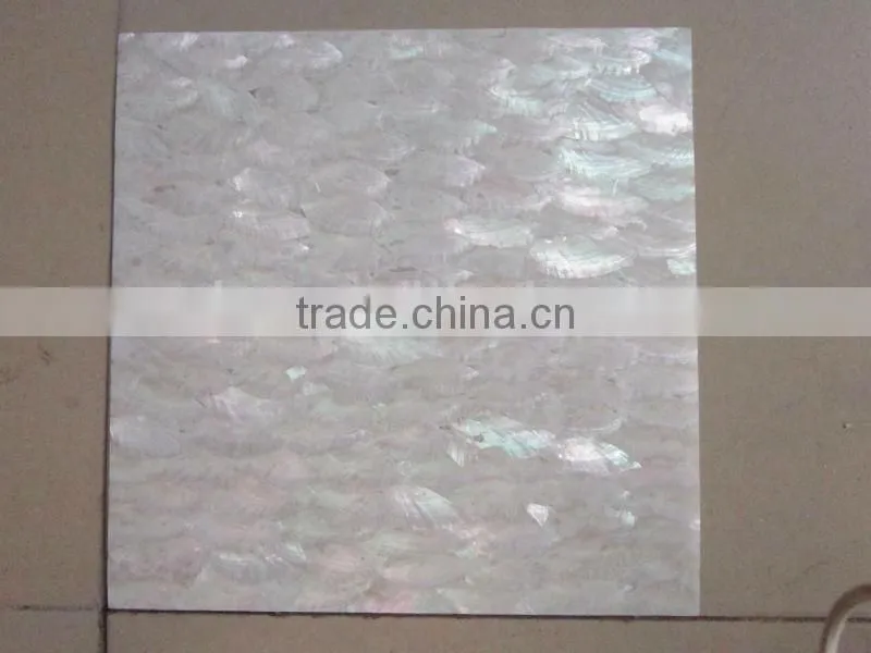 SP008-Japanese abalone shell paper for wall decoration