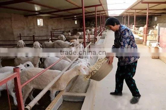 Fresh corn straw all crop cutter