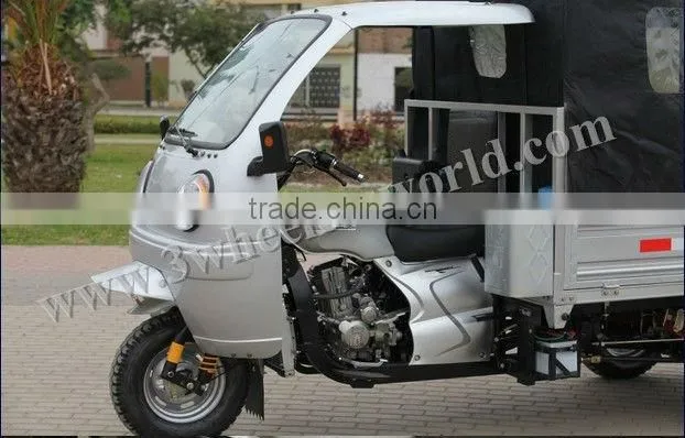 Three Wheel Motorized Bicycle/Trikes Motorcycle/Scooter on Sale