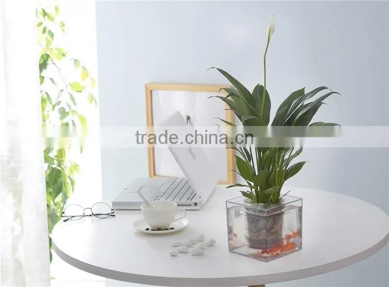 Round Clear Plastic Orchid Pot