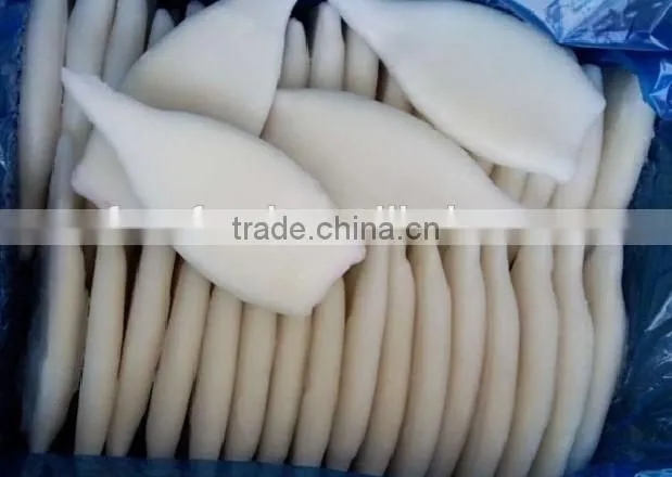 Frozen Squid Tube U5