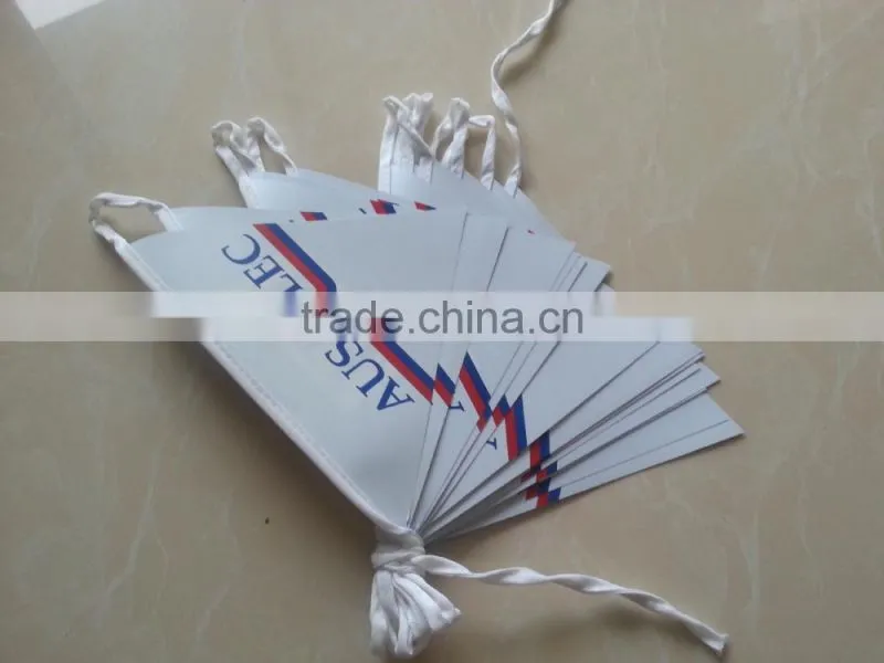 pe promotional bunting flag