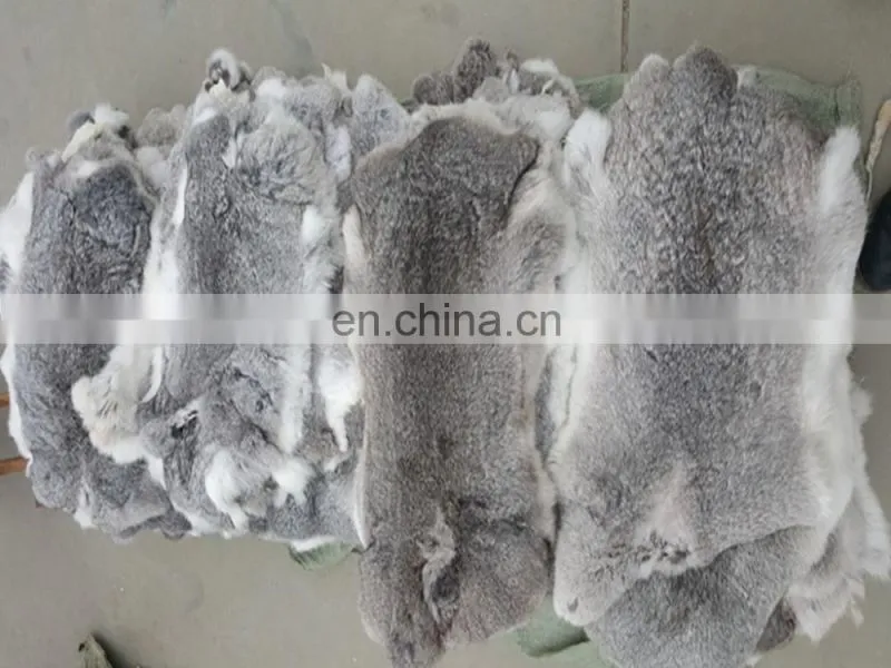 Online wholesale shop Rabbit Fur Skins and rabbit skins for plate, for Garment