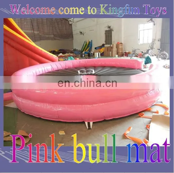 2014 inflatable soccer field