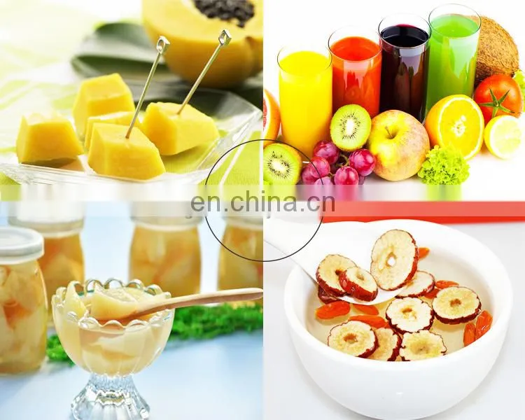 Electric Cherry Olive Palm Prune Date Peach Pitter Machine For Sale