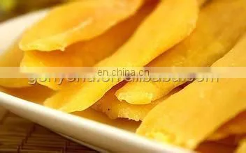 shanghai dryer machine for drying mango