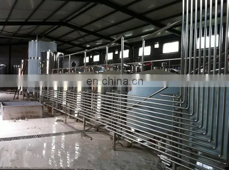 fully automatic pomegranate wine processing plant