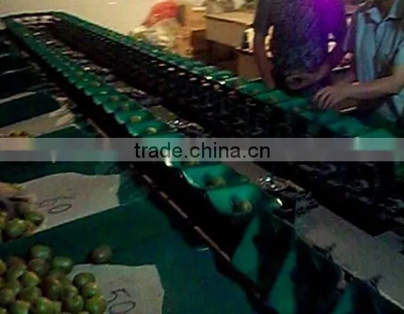 commercial orange grading machine/lemon sorting machine/kiwi sorter machine