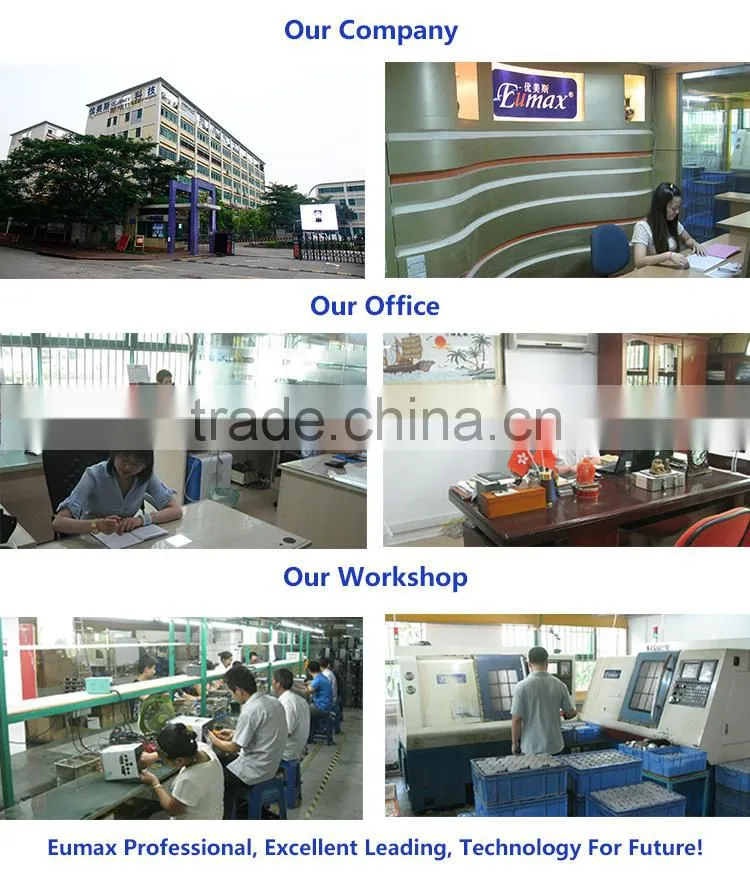 Stainless Steel eumax industrial Ultrasonic Cleaner SMD100