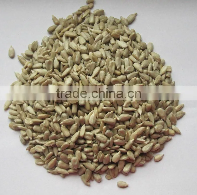 new sunflower seed kernel