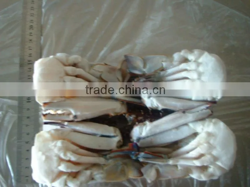 Frozen Cutting Swimming Crab