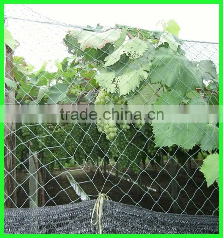Clear anti bird hail cover net/uv resistance woven mesh net/reinforced hail guard net