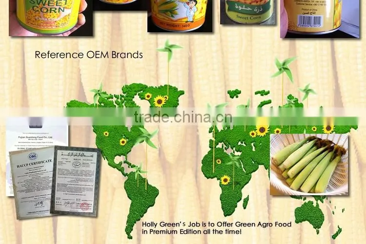 CANNED JAR sweet baby corn to RUSSIA HIGH QUALITY super sweet canned food NO GMO TAIWAN yellow baby corn raw material