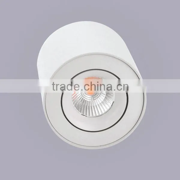 modern white adjustable surface mounted ceiling light