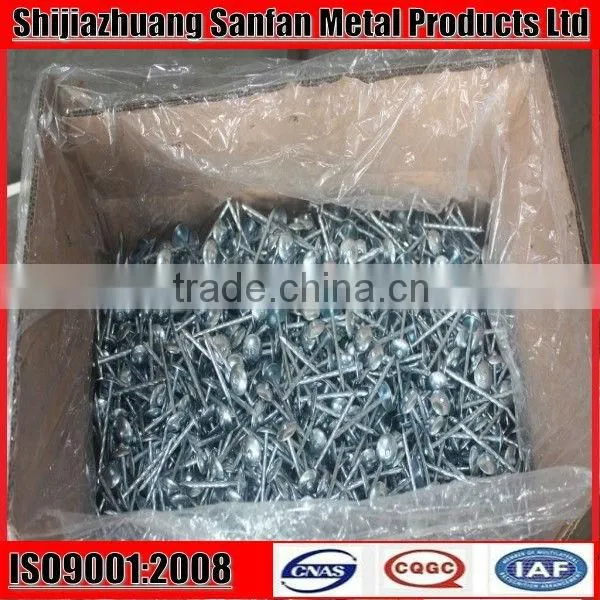 ring shank zinc galvanized roofing nails
