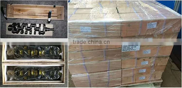 Casting Iron Crankshaft for Mitsubishi 4D35 Engine Crank Shaft OEM