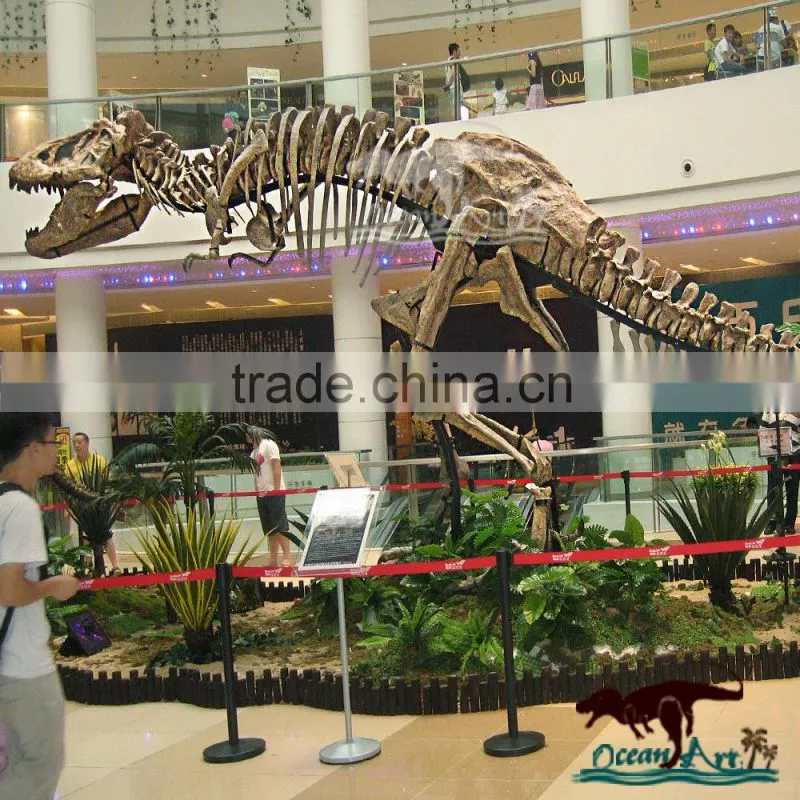 Indoor exhibition life size artificial dinosaur skeleton