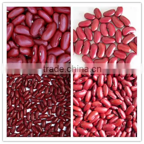 We are supply kidney beans, Dark red kidney beans for sale