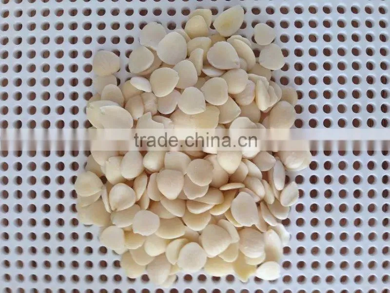 Chinese Guangzhong Blanched Apricot Kernels Flakes