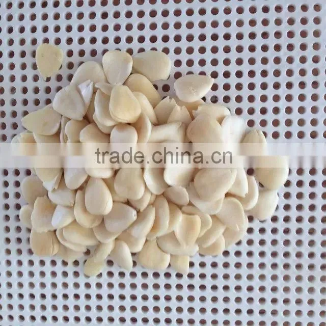 Supply Blanched apricot kernels (longwang type,Youyi type)