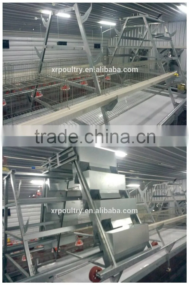 automatic environmental controlled chicken farms construction