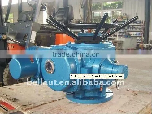 Multi turn Actuator