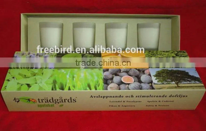 Luxury Scented Soy Wax Candle Set in Glass Jar