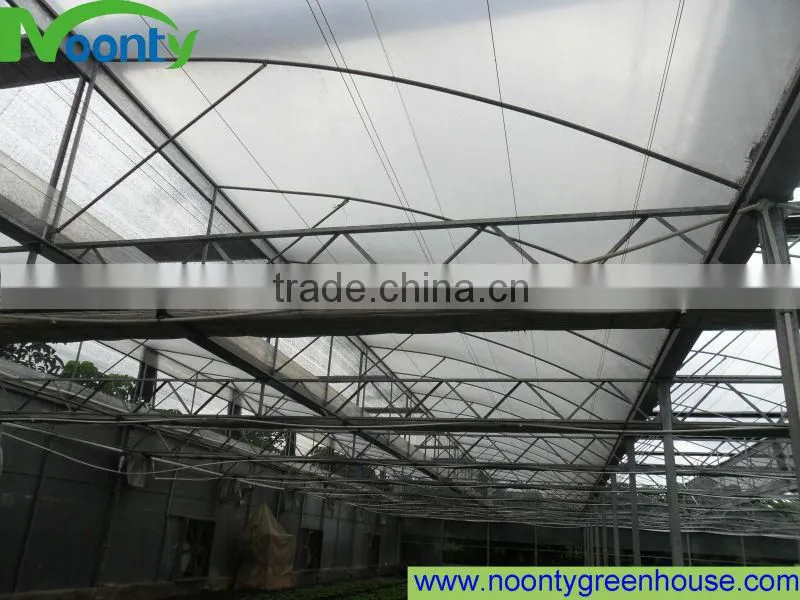 Greenhouses for Roses