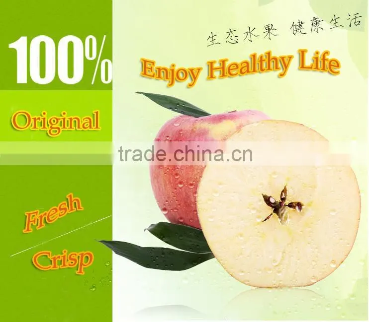 new 2016 Professional Delicious High Quality Fresh Red Hanfu Apple