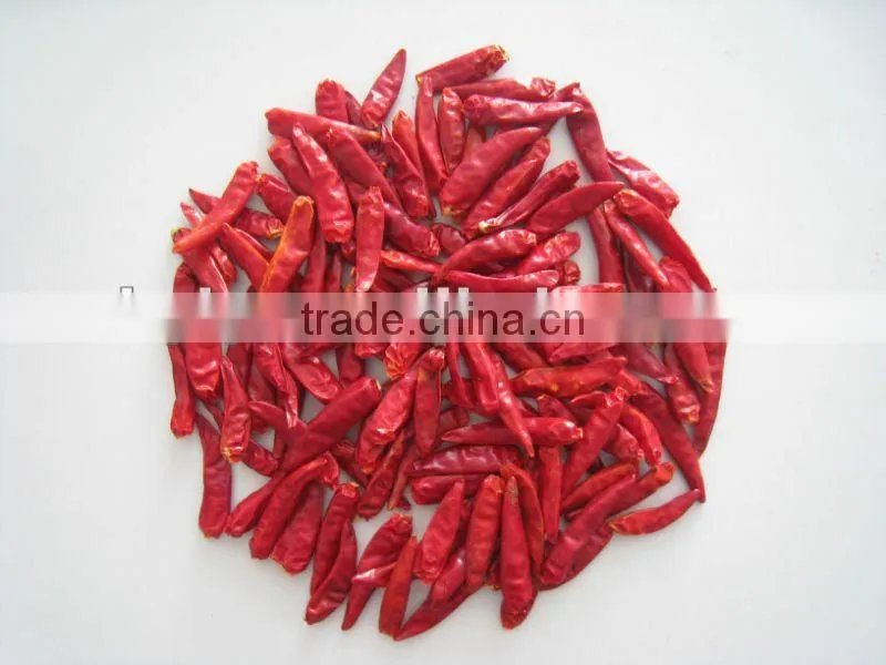 The newest red chaotian chilli,tianying chilli