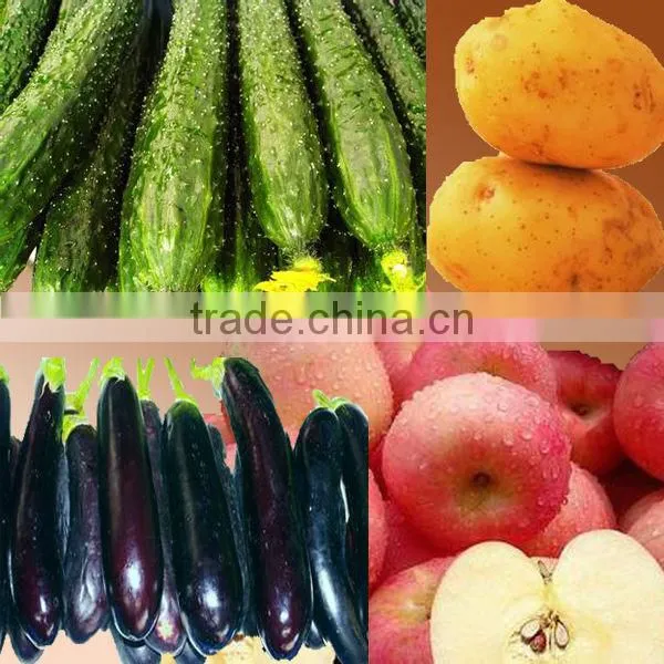 2014 2014 stainless steel vegetable and fruit cutting machine