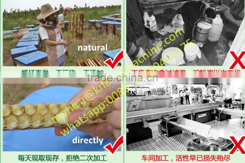 Best Royal Jelly Price/Manufacturer Supply Fresh Royal Jelly