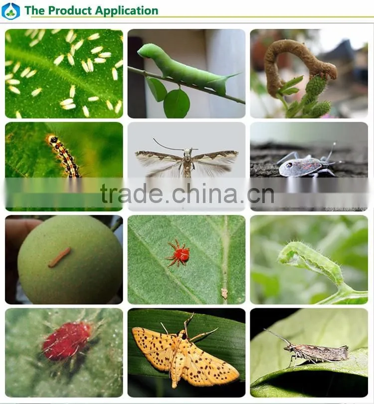 efficient and quick manufactuing insecticide Lambda cyhalothrin 95%TC
