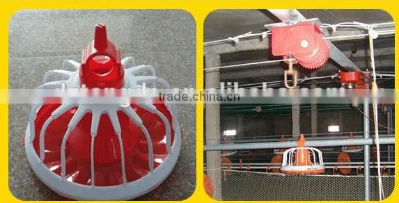 solid plastic pigeon transport cage