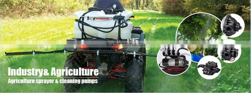 100psi micro12v agricultural sprayer pumps /agriculture battery sprayer pump